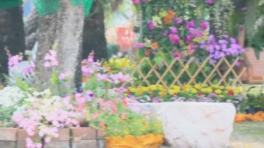 Ahşap Çiçek Bahçe, Hd vdo hızıyla.
