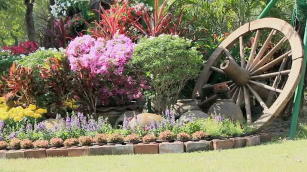 Flores en el jardín, HD vdo . — Vídeos de Stock