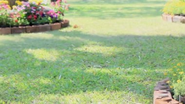 Çiçek Bahçe, Hd vdo.