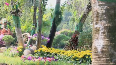 Çiçek Bahçe, Hd vdo.