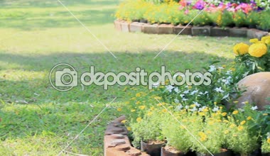 Çiçek Bahçe, Hd vdo.