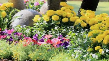 Çiçek Bahçe, Hd vdo.