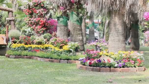 Ξύλινη ταλάντευση στο τα λουλούδια κήπων, Hd vdo. — Αρχείο Βίντεο