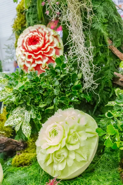 Cantaloupe und Wassermelone im Garten. — Stockfoto