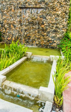 Dekoratif bahçe şelale ve su birikintisi.