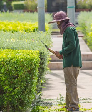 Bahçıvan süs bitkileri.