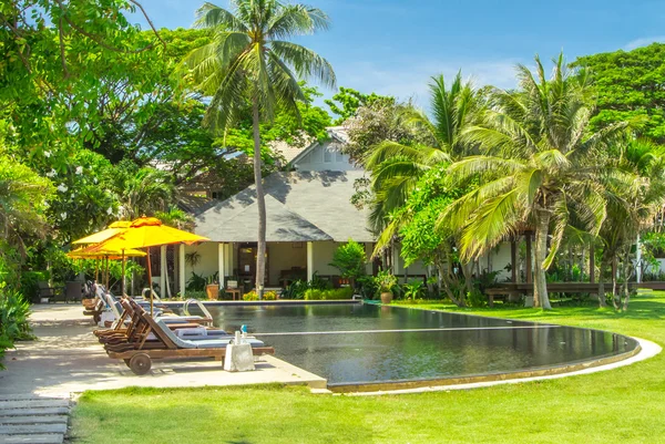 swimming pool in garden.