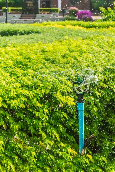 Sprinkler in garden. — Stock Photo, Image