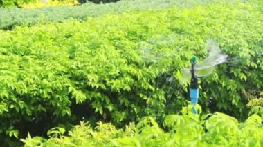 Bahçe, tam Hd sulama yağmurlama kafa.