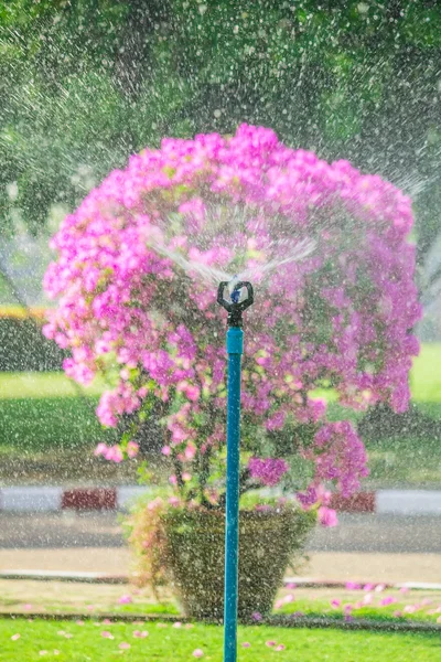 Detalj av en arbetande gräsmatta sprinkler huvud. — Stockfoto