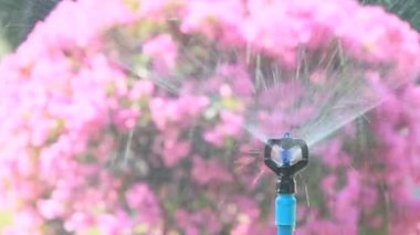 Hd vdo bahçede sulama yağmurlama kafa.