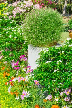 güzel çiçek bahçesi.