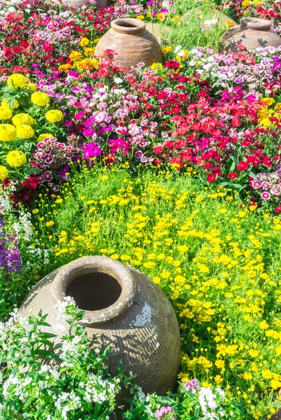 Belo jardim de flores . — Fotografia de Stock