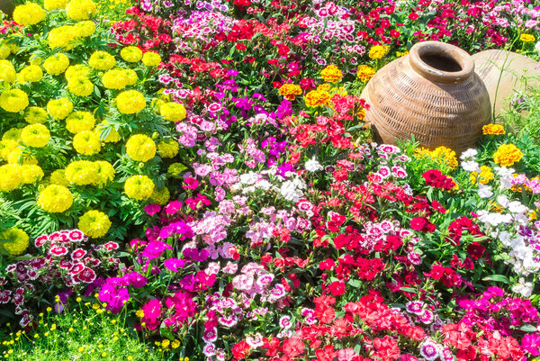 Цветочный сад
.