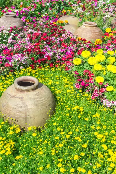 Beautiful flower garden. — Stock Photo, Image