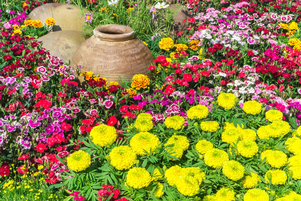 Цветочный сад
.