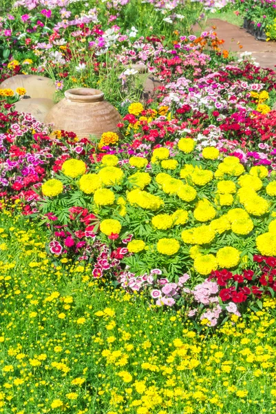 Schöner Blumengarten. — Stockfoto