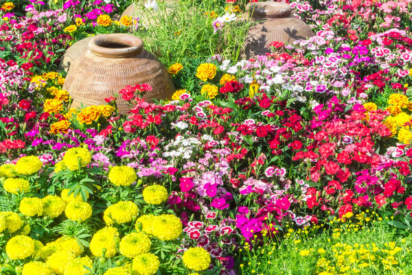 Цветочный сад
.