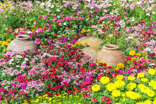 Цветочный сад
.