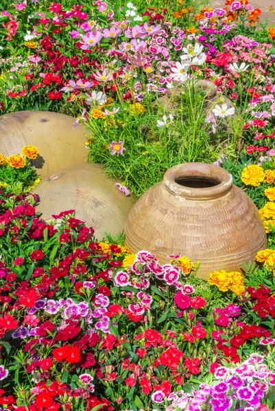 Schöner Blumengarten. — Stockfoto
