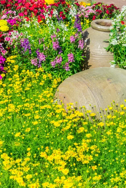 Beautiful flower garden. — Stock Photo, Image