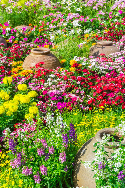 Цветочный сад
.