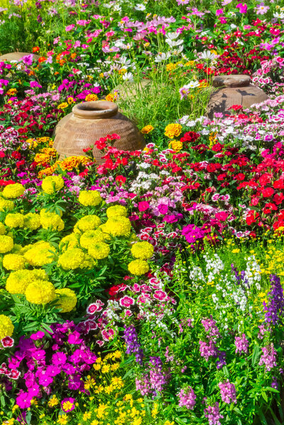 Цветочный сад
.