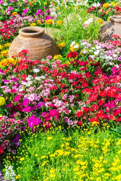 Beautiful flower garden. — Stock Photo, Image