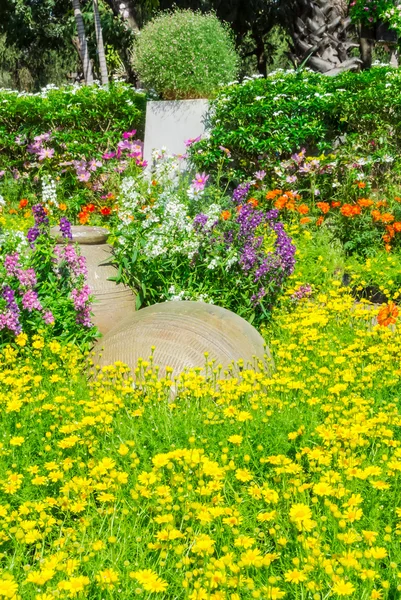 Belo jardim de flores . — Fotografia de Stock