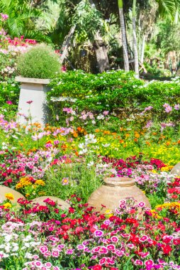 güzel çiçek bahçesi.