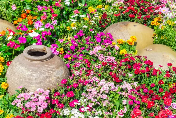 Belo jardim de flores . — Fotografia de Stock