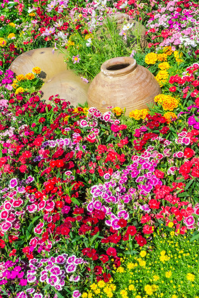 Цветочный сад
.