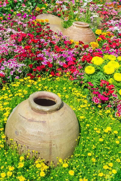 Beautiful flower garden. — Stock Photo, Image