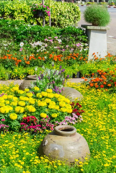 Hermoso jardín de flores . — Foto de Stock