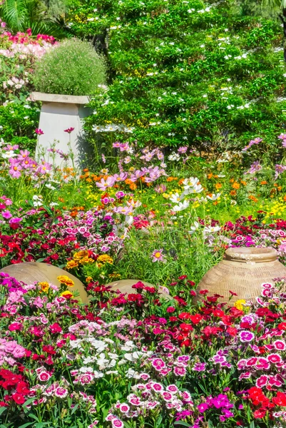 Beautiful flower garden. — Stock Photo, Image