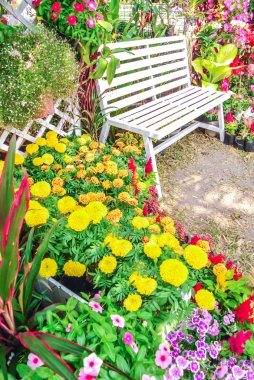 güzel çiçek bahçesi.