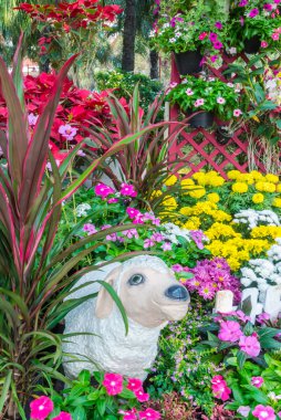 güzel çiçek bahçesi.
