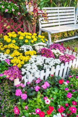 güzel çiçek bahçesi.