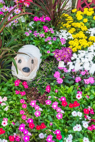 Belo jardim de flores . — Fotografia de Stock