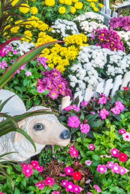 güzel çiçek bahçesi.