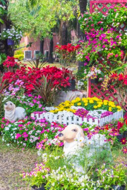 güzel çiçek bahçesi.