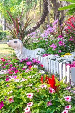 güzel çiçek bahçesi.