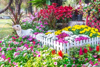 güzel çiçek bahçesi.