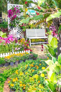 güzel çiçek bahçesi.
