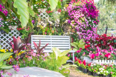 güzel çiçek bahçesi.