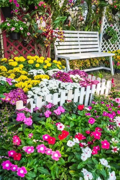 Beautiful flower garden. — Stock Photo, Image