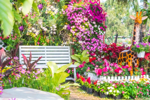 Beautiful flower garden. — Stock Photo, Image