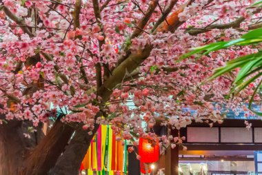 Tanabata Festivali.