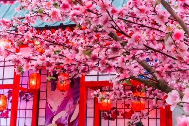 Tanabata Festivali.