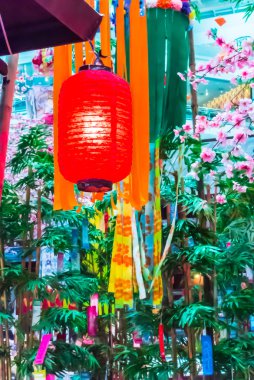 Tanabata Festivali.